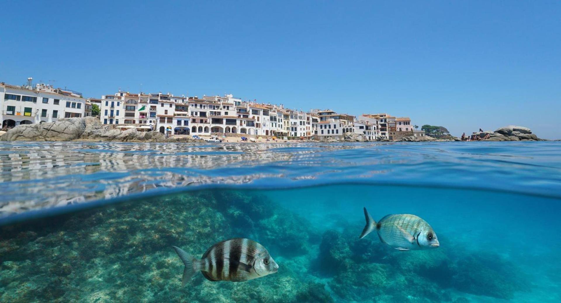 Apartamento Recien Reformado A 300 Metros Del Mar Calella De Palafrugell Exteriör bild