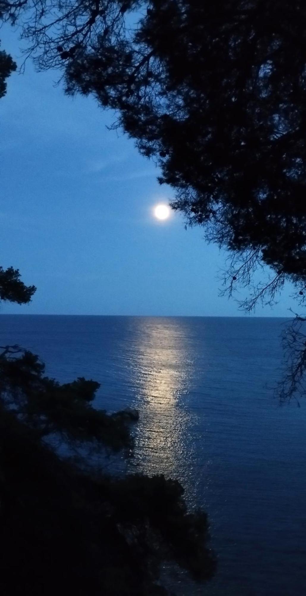 Apartamento Recien Reformado A 300 Metros Del Mar Calella De Palafrugell Exteriör bild