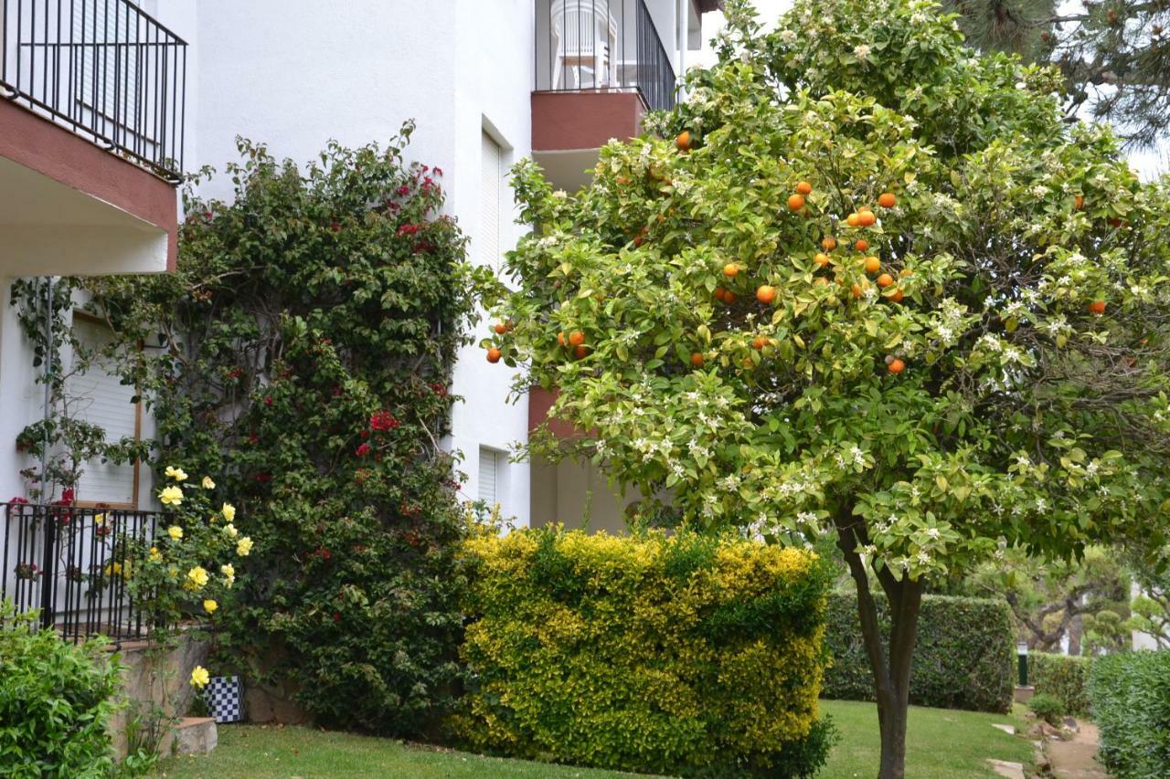 Apartamento Recien Reformado A 300 Metros Del Mar Calella De Palafrugell Exteriör bild